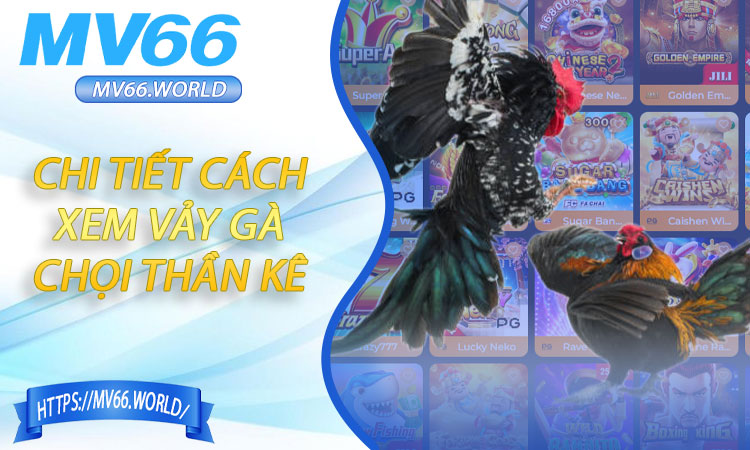 Hướng Dẫn Chi Tiết Cách Xem Vảy Gà Chọi Thần Kê