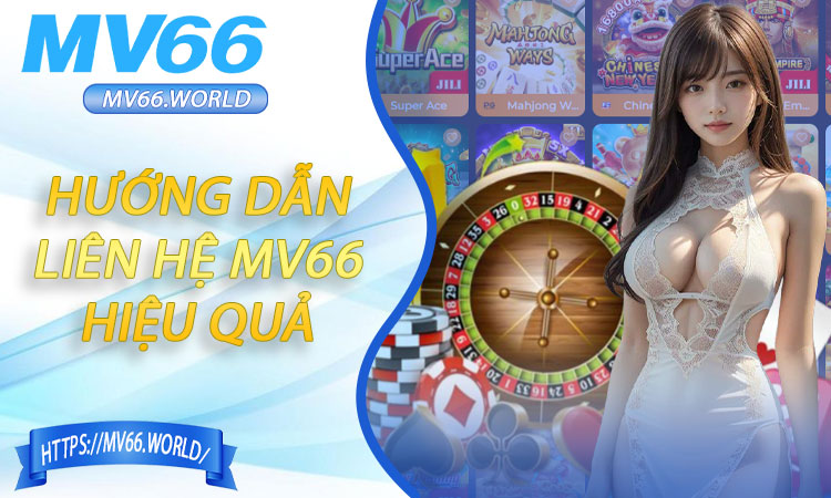 Hướng dẫn liên hệ MV66 hiệu quả