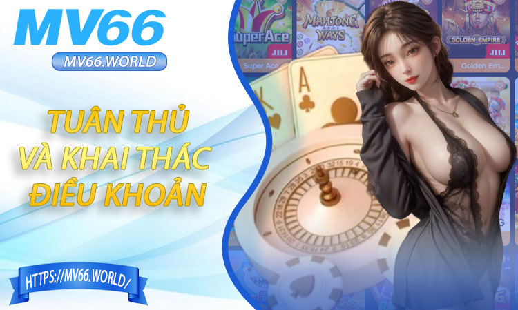 Hướng dẫn tuân thủ và khai thác điều khoản tại MV66