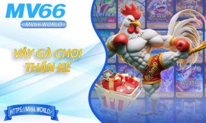 Vảy Gà Chọi Thần Kê